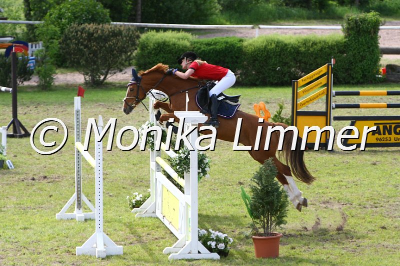 204M6555_Lucky Girl_Spring Mx.JPG